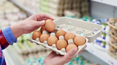 Yumurtada Salmonella endişesi: İki ölüm yumurtadan mı?