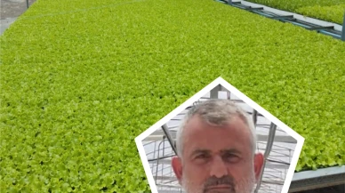 Teşhir edilen fideci 1 yılda iflas etti
