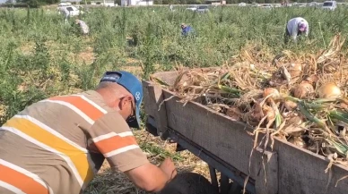 ÇKS başvurularında adres değişti; ÇKS yenileme ve ilk kayıtta hangi işlemler yapılacak?