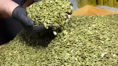 Kabak çekirdeği alarmı; Çekirdek yiyen 81 kişi hastalandı..