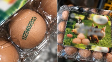 Markette yumurta aldatmacası; Kafes yumurtasına “gezen tavuk” kodu basmışlar!