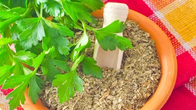 Maydanozu kurutup tüketmek yaşam uzatıyor