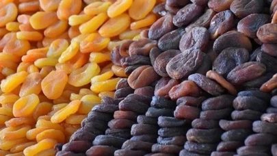 Bunu da yaptılar; Sahte 'Malatya kayısısı"