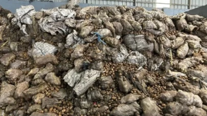 İhraç edilip geri dönen ürünler imha edildi.. Toplam 2500 ton..