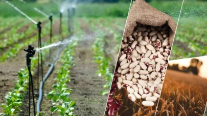 TÜİK tarımda korkutan tabloyu açıkladı: Bu ürünler cep yakacak