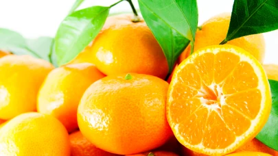 Yarısından çoğunu Ruslar yiyor; beklenti 125 milyon dolar