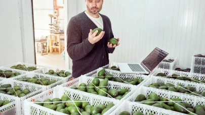 Avokadonuzu yapay zekâ ile yetiştirin!