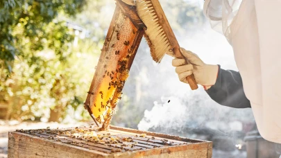 Türk balında antibiyotik alarmı: Bir balda 4 farklı antibiyotik!