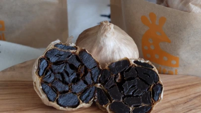 Kore'de gördü, Taşköprü'de üretmeye başladı, ilaç olma yolunda..