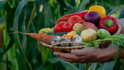 EAT-Lancet raporu: Zenginlerin gıdası küresel ısınmayı artırıyor