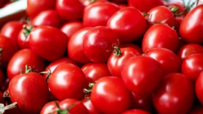 Dikkat: Zehirli domatesler geri gönderildi