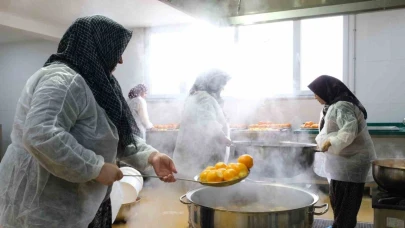 Nilüfer'de çiftçiyi kalkındıracak örnek proje