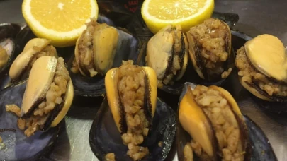 Midye ve tavuk yiyen Hollandalı kardeşler zehirlendi