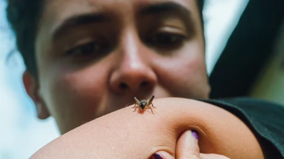 Kene ısırığıyla et alerjisi gelişebilir mi?