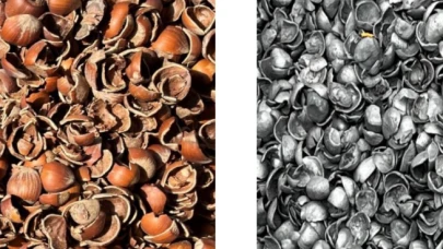 Balsu Gıda fındık kabuğundan aktif karbon üretimine başlıyor