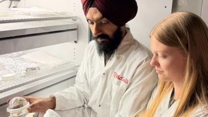 Bilim insanları yulafın genetik haritasını çözdü