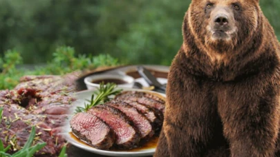 Japonya'da yeni akım: İnsanlara saldıran ayıları yiyorlar