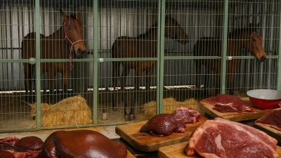 Çifteler'de at kesen çiftlik belediye denetimiyle açığa çıktı; Tek tırnaklı eti kasaplara buradan geliyormuş!