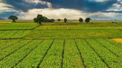 Çiftçilere 1 milyar TL’yi aşan tarımsal destek ödemesi yapılacak