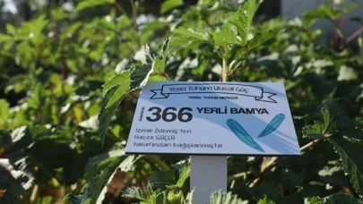 Belediyeden ücretsiz yerel tohum.. Hangi tohumlar gönderiliyor?