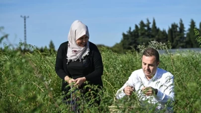 Balıkesir'de köyler boşalıyor! Üretici kazanamazsa köylerimizde kimse kalmayacak..