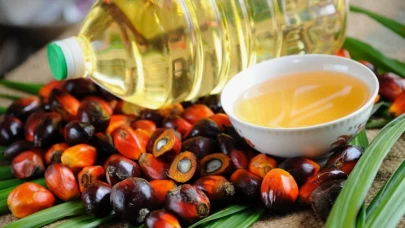 Türkiye Palm yağı ithalatı ne kadar arttı?