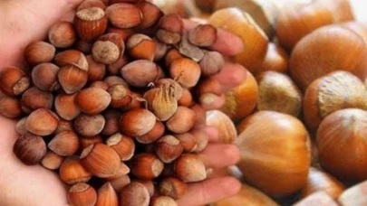 Antep fıstığı ve incirden sonra fındıkta da küf çıktı..