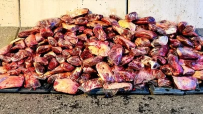 Etin suyu çıktı! Kamyon kasasında yakalandı ne eti belli değil