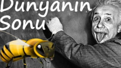 Dünya Arı Günü.. Einsetin arı teorisi hurafe mi gerçek mi?