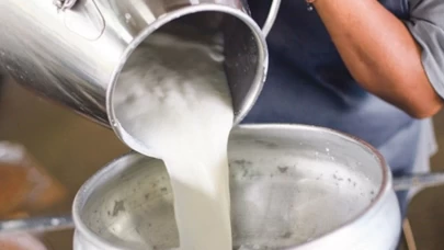 Sokak sütü antibiyotikli çıktı!