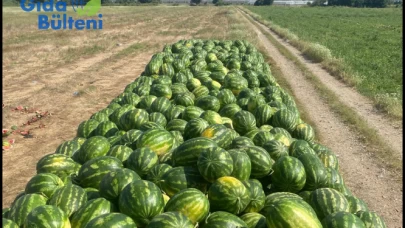Yok böyle bir fiyat farkı.. Meyve sebze tarlada ne kadar tezgahta ne kadar?