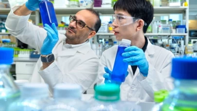 Sentetik boyaların yerini alacak alglerden sağlıklı alternatif geliştirildi