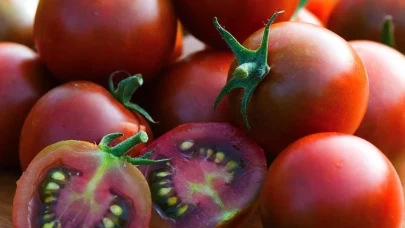 Avrupa’ya gönderilen cherry domateslerde yasaklı pestisit şoku