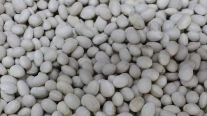 Coğrafi yaratıcılık: İspir fasulyesinden sushi