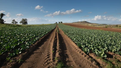Tarımsal girdi fiyatları zirveye yaklaşıyor: Temmuz’da yıllık artış yüzde 34,22
