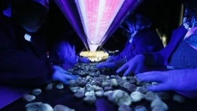 Kuru incirde aflatoksine karşı karanlık oda dönemi