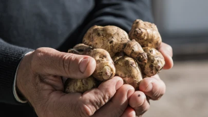 Potasyum ve demir zengini, pestisite gerek olmadan yetişiyor