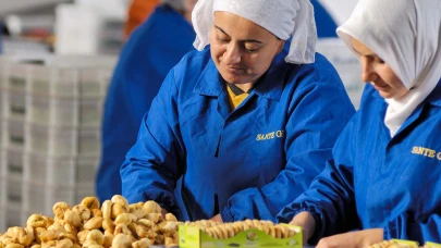 İncirdeki aflatoksin kalıntısı konkordatoya neden oldu!
