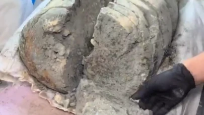 Küflü peynir yemek zararlı mı?