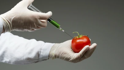 Genetiği değiştirilmiş gıdalar güvenli mi?