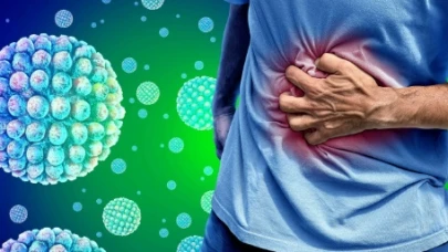 En pahalı bakteri; Salmonella..