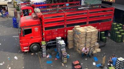 Antalya'dan İstanbul'a gelen 1 kilo sebze meyvenin taşıma maliyeti ne kadar?