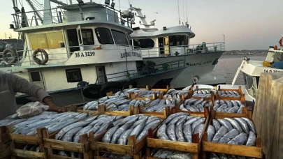Palamut etin tahtını sarstı; Tanesi 40 TL'ye düştü, vatandaş limana akın etti