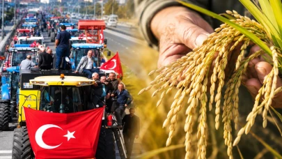 Çeltik alım fiyatı belli oldu; Üretici 55 TL istemişti TMO daha düşük fiyat açıkladı