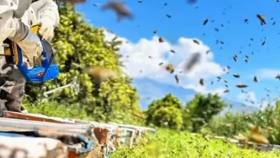 Arıcılığa başlayan gençlere hibe desteği; 774 bin TL hibeyle 260 kovan aldı