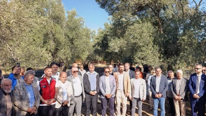 Zeytine niyet Guinness'e kısmet; Coğrafi işaretli zeytini rekora meze ettik