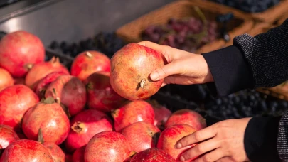Narda öldüren zehir; 30 kat yüksek çıktı