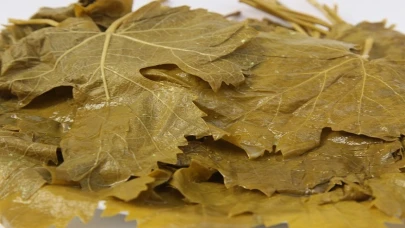 En İyi Salamura Yaprak Hangisi? Kaliteli Yaprak Seçme Rehberi