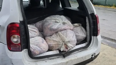 Çatalca’da at çiftliğine at eti operasyonu