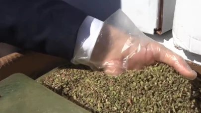 Baklavada büyük tehlike; ele geçirilen fıstıklar karaciğer kanserine davetiye çıkarıyor